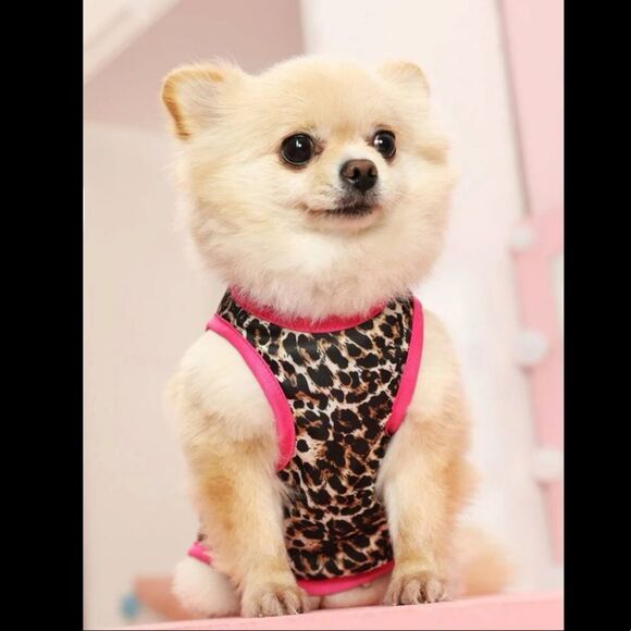$5 Bundle 🆕 Pink Lined Leopard Print Pet Outfit - Picture 3 of 6